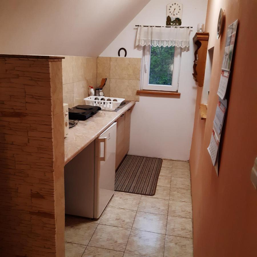 Agroturystyka Brzozowe Wzgorze Wlen Exterior foto